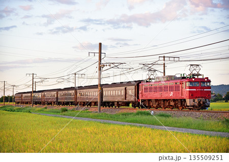信越本線 帯織-見附 JR東日本 EF81-136(青森)+旧客7B(高崎) 信越本線 帯織-見附 JR東日本 EF81-136(青森)+旧客7B(高崎) 135509251