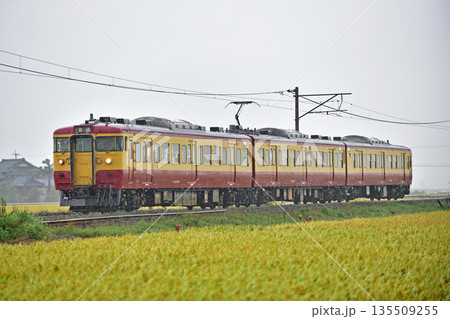 越後線　巻－岩室　JR東日本　115系　N40編成（新潟） 135509255