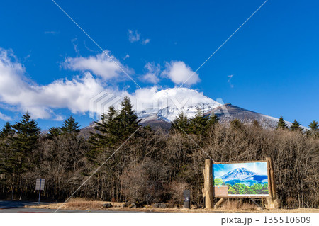 頭だけ富士山 135510609