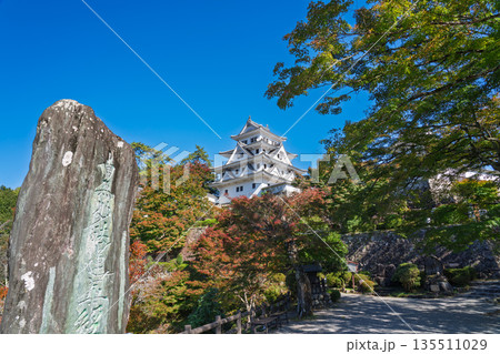秋の郡上八幡城 岐阜県郡上市 秋の郡上八幡城 岐阜県郡上市 135511029