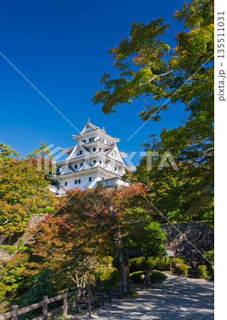 秋の郡上八幡城 岐阜県郡上市 秋の郡上八幡城 岐阜県郡上市 135511031