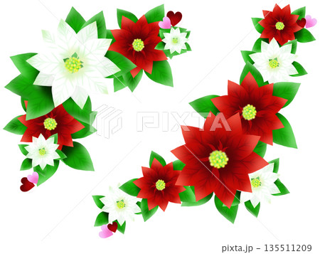 ポインセチア　ハート　イラスト素材 135511209