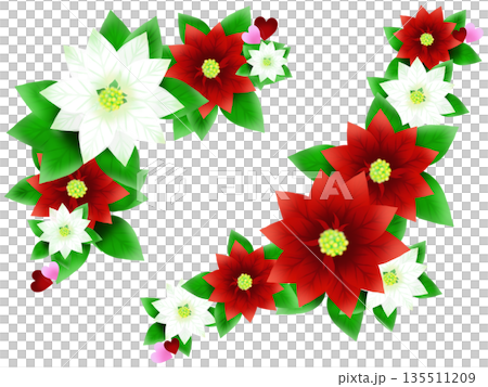ポインセチア　ハート　イラスト素材 135511209