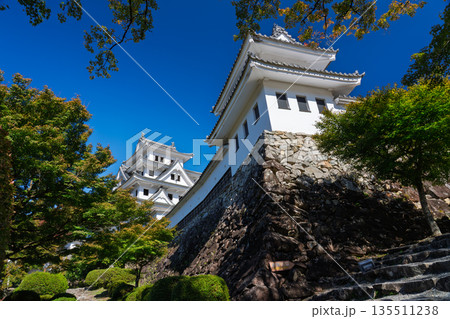 快晴の郡上八幡城天守 岐阜県郡上市 快晴の郡上八幡城天守 岐阜県郡上市 135511238