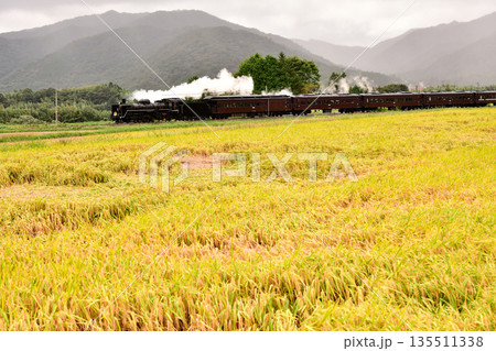 やまぐち号　20 135511338