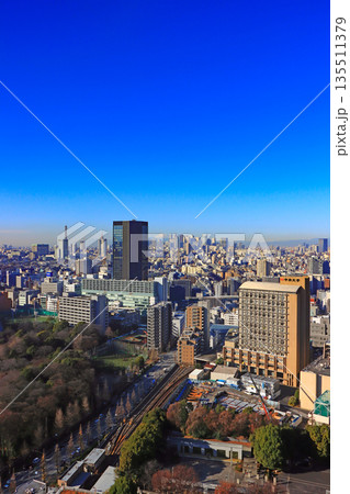 東京都新宿区、富士山と新宿副都心超高層ビル郡の風景 東京都新宿区、富士山と新宿副都心超高層ビル郡の風景 135511379