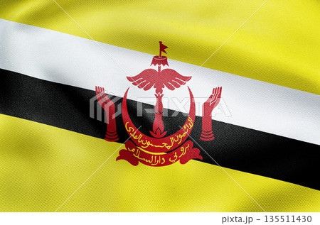 National flag of Brunei with yellow field diagonal stripes and red crest emblem. 135511430