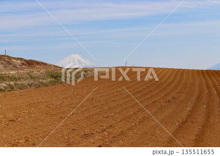 明野の耕した畑と富士山・2 明野の耕した畑と富士山・2 135511655