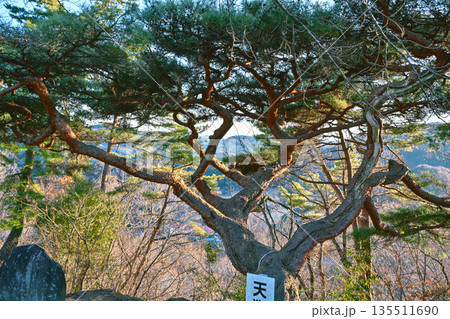 牛伏山 牛伏山 135511690