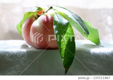 葉がついたハネ出しの桃 135511967