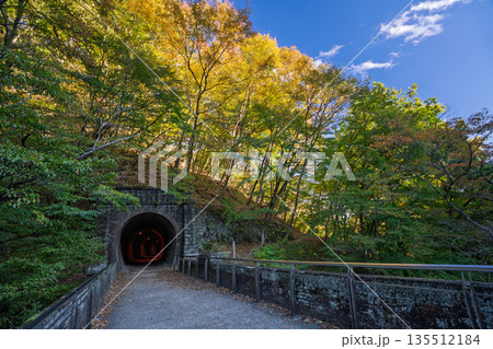 秋の始まる碓氷峠 アプトの道　群馬県安中市 135512184