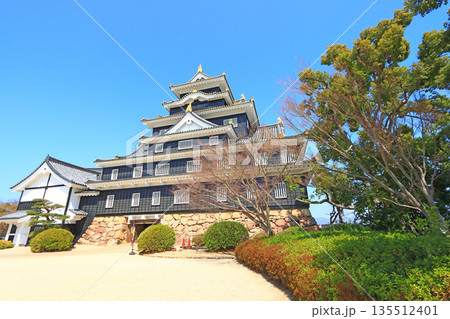 岡山県岡山市、岡山城の風景 岡山県岡山市、岡山城の風景 135512401