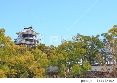 岡山県岡山市、岡山城の風景 岡山県岡山市、岡山城の風景 135512402