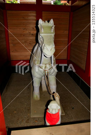 日本唯一の夢叶え大明神・夢結びの神様… 稲敷『大杉神社』の勝馬神社 135514325