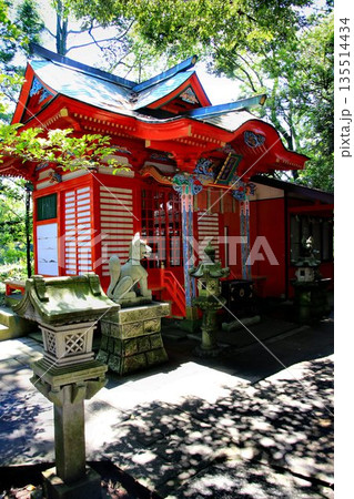 日本唯一の夢叶え大明神・夢結びの神様… 稲敷『大杉神社』の稲荷神社 日本唯一の夢叶え大明神・夢結びの神様… 稲敷『大杉神社』の稲荷神社 135514434