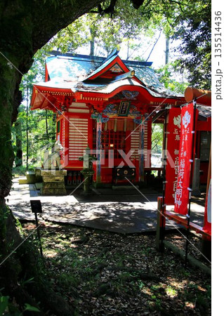 日本唯一の夢叶え大明神・夢結びの神様… 稲敷『大杉神社』の稲荷神社 日本唯一の夢叶え大明神・夢結びの神様… 稲敷『大杉神社』の稲荷神社 135514436