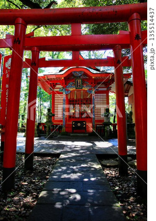 日本唯一の夢叶え大明神・夢結びの神様… 稲敷『大杉神社』の稲荷神社 日本唯一の夢叶え大明神・夢結びの神様… 稲敷『大杉神社』の稲荷神社 135514437