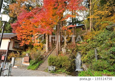 野沢温泉村にある湯沢神社の紅葉風景(長野県野沢温泉村) 野沢温泉村にある湯沢神社の紅葉風景(長野県野沢温泉村) 135514750