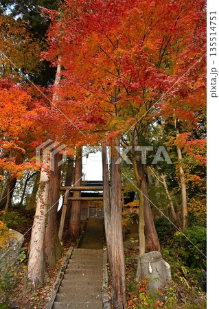 野沢温泉村にある湯沢神社の紅葉風景(長野県野沢温泉村) 野沢温泉村にある湯沢神社の紅葉風景(長野県野沢温泉村) 135514751