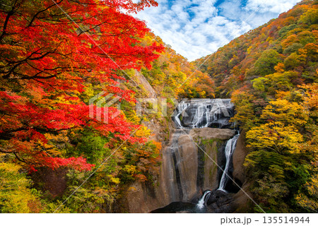 茨城県 日本三名瀑 袋田の滝 秋の紅葉と四段の滝の風景 茨城県 日本三名瀑 袋田の滝 秋の紅葉と四段の滝の風景 135514944