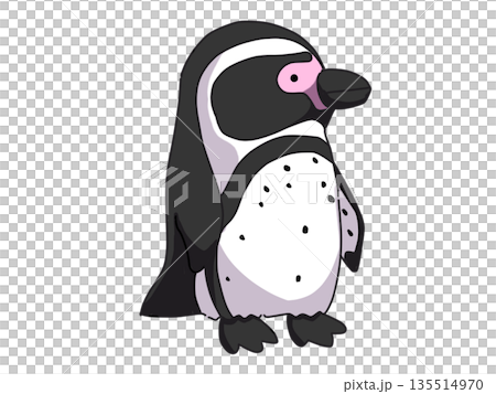 洪堡企鵝側身看向前方的插圖 135514970