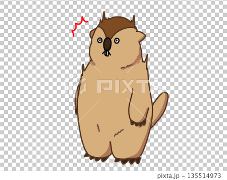 Illustration of a surprised marmot Illustration of a surprised marmot 135514973