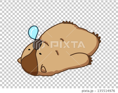 Illustration of a sleeping marmot Illustration of a sleeping marmot 135514976