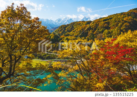 秋の紅葉と白馬の自然風景 秋の紅葉と白馬の自然風景 135515225