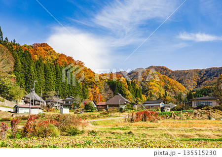 白馬　野平集落の紅葉 135515230