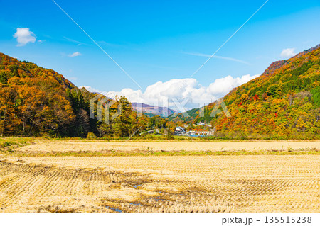 姫川ダム付近の田園風景と紅葉 姫川ダム付近の田園風景と紅葉 135515238