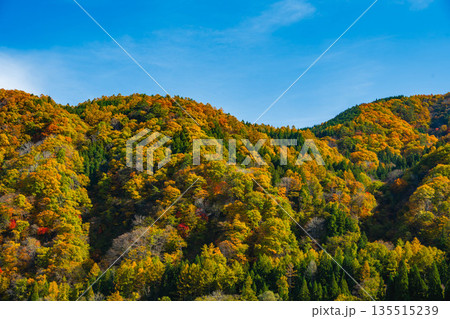 秋晴れと紅葉した山 135515239