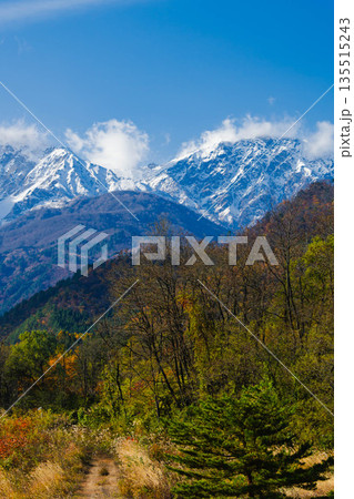北アルプスと紅葉 135515243