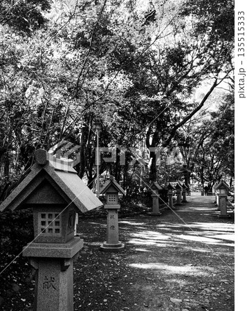 木立に包まれた神社への小径 静けさへ導く参道 Shrine Path Leading into Si 木立に包まれた神社への小径 静けさへ導く参道 Shrine Path Leading into Si 135515333