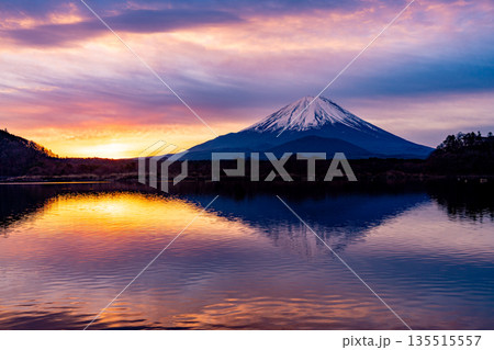 （山梨県）日本の夜明け　黄金色に染まる空と富士山 135515557