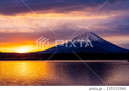 (山梨県)日本の夜明け 黄金色に染まる空と富士山 (山梨県)日本の夜明け 黄金色に染まる空と富士山 135515560