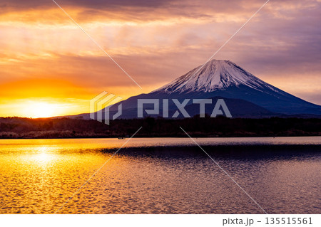 (山梨県)日本の夜明け 黄金色に染まる空と富士山 (山梨県)日本の夜明け 黄金色に染まる空と富士山 135515561