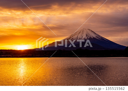 （山梨県）日本の夜明け　黄金色に染まる空と富士山 135515562