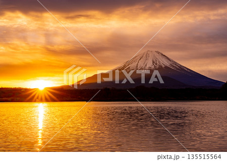 (山梨県)日本の夜明け 黄金色に染まる空と富士山 (山梨県)日本の夜明け 黄金色に染まる空と富士山 135515564