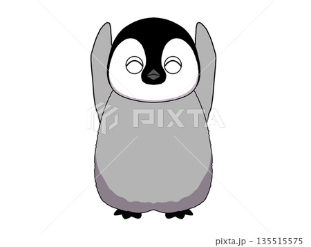 バンザイをする皇帝ペンギンの赤ちゃんのイラスト 135515575