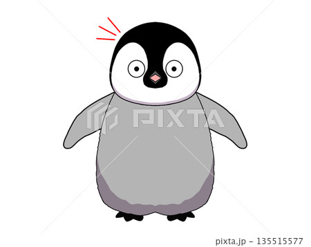 驚く皇帝ペンギンの赤ちゃんのイラスト 135515577