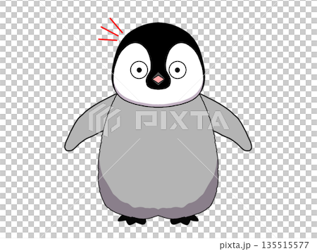 驚く皇帝ペンギンの赤ちゃんのイラスト 135515577
