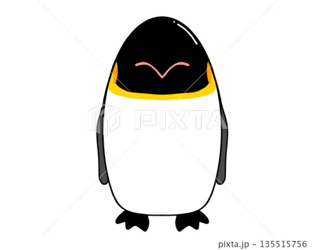皇帝ペンギンのイラスト 135515756