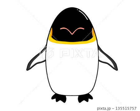 手を広げる皇帝ペンギンのイラスト 135515757