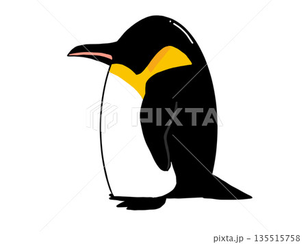 横向きの皇帝ペンギンのイラスト 135515758