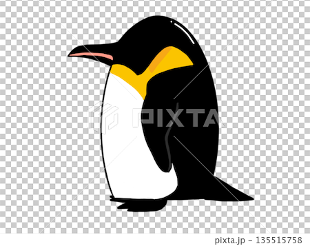 横向きの皇帝ペンギンのイラスト 135515758