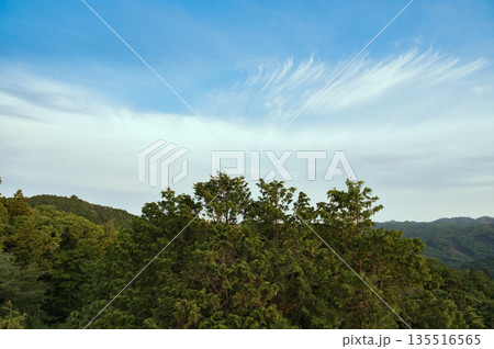 茨城　やすらぎの里公園からの眺め 135516565