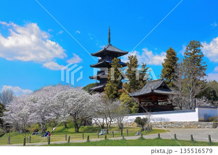 【岡山県】桜咲く春の備中国分寺(桜と五重塔) 【岡山県】桜咲く春の備中国分寺(桜と五重塔) 135516579