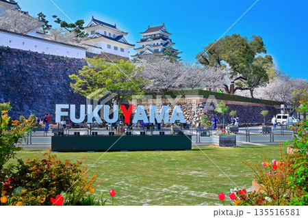 【広島県】桜咲く春の福山城（復興後）福山城桜まつり 135516581