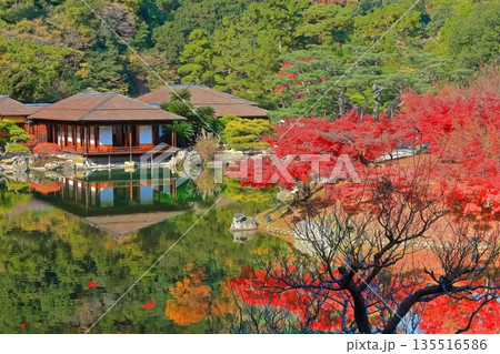 【香川県】紅葉した秋の栗林公園(特別名勝) 【香川県】紅葉した秋の栗林公園(特別名勝) 135516586