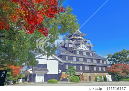 【岡山県】紅葉した岡山城の天守閣(令和の大改修後) 【岡山県】紅葉した岡山城の天守閣(令和の大改修後) 135516587